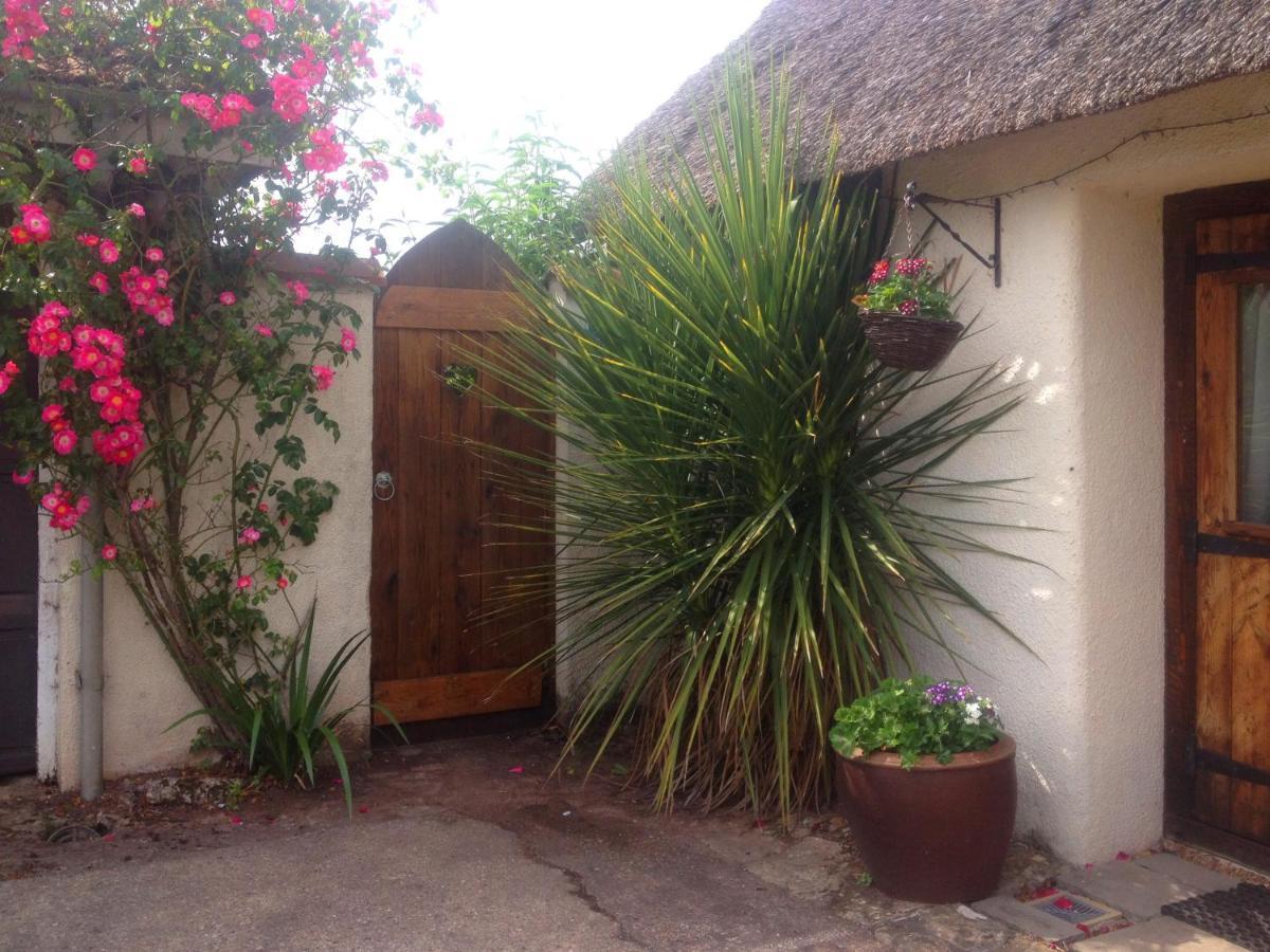 The Nest - Thatched Seaside Country Cottage For Two Stokeinteignhead Bagian luar foto