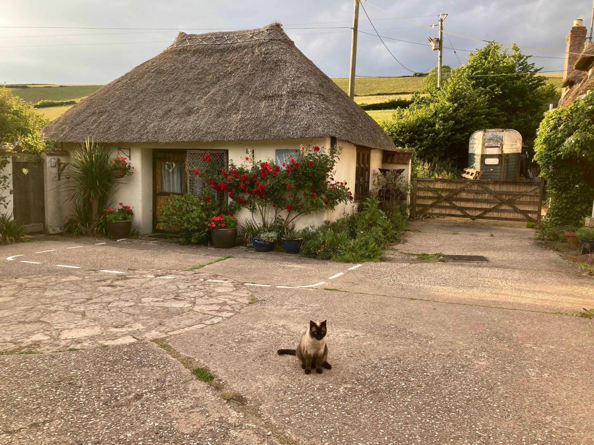 The Nest - Thatched Seaside Country Cottage For Two Stokeinteignhead Bagian luar foto