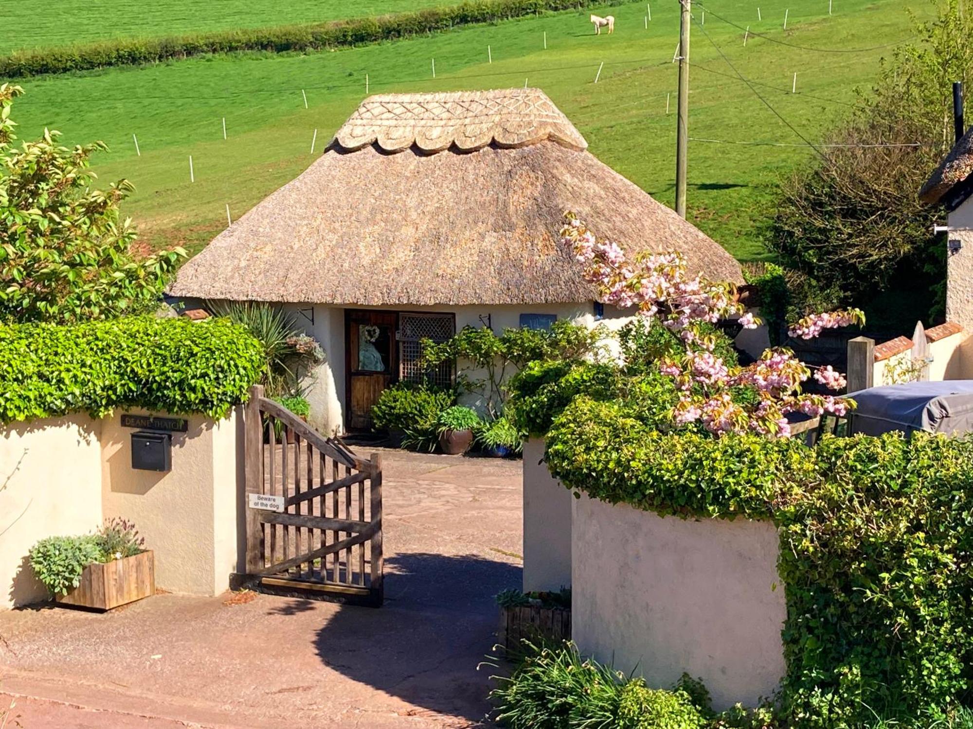 The Nest - Thatched Seaside Country Cottage For Two Stokeinteignhead Bagian luar foto